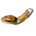 Spicebush Swallowtail troilus pupae 